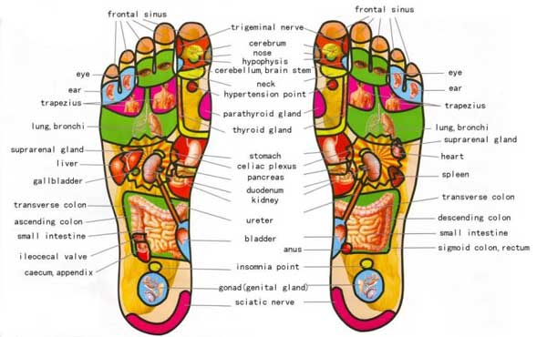 Foot-reflexologie-600x370